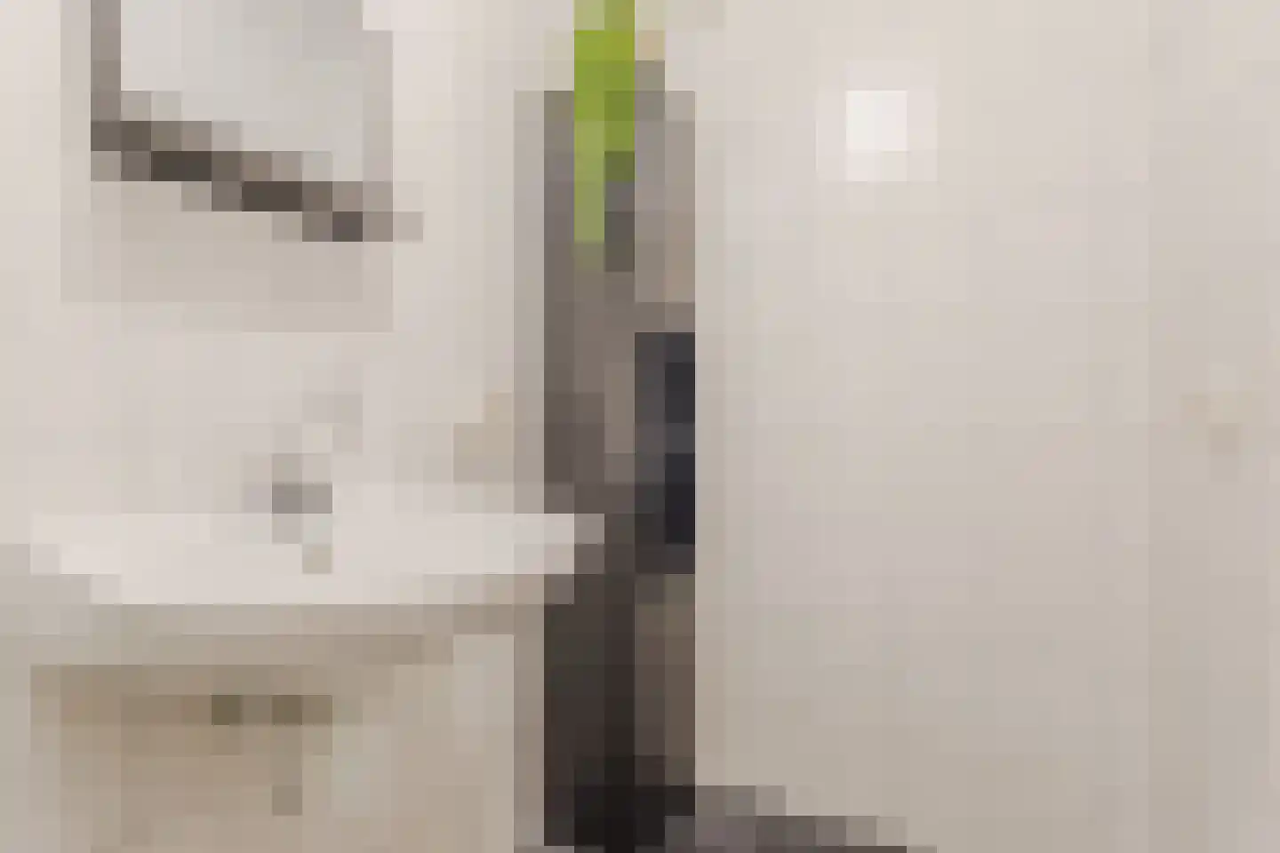 Raadhuisplein 15 Haps thumbnail 18