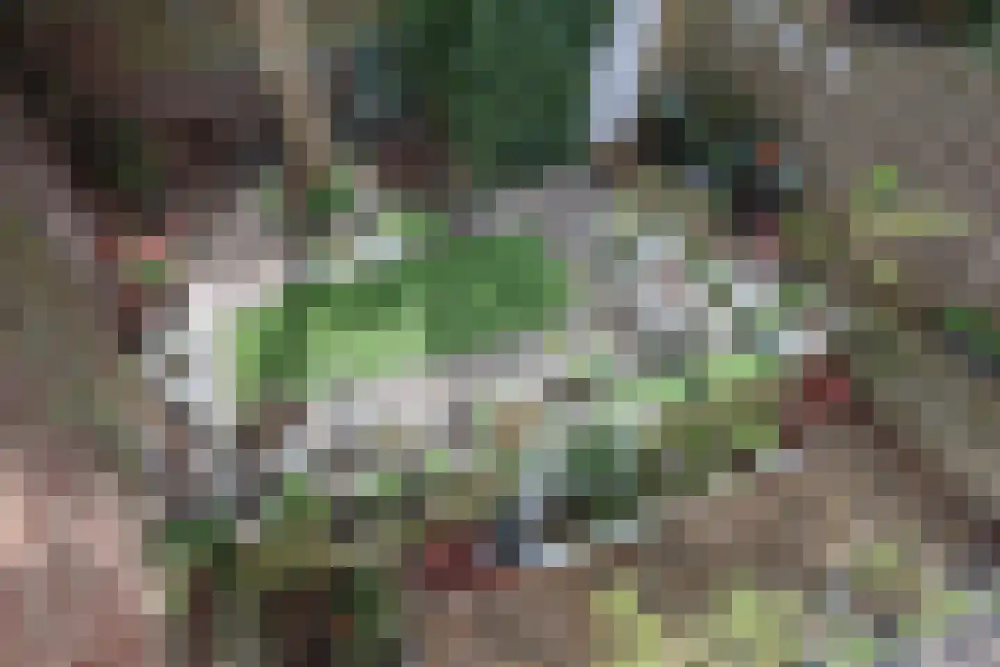 Raadhuisplein 15 Heerlen thumbnail 27