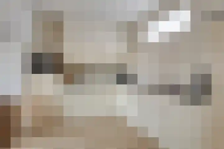 Raadhuisplein 15 Made thumbnail 19