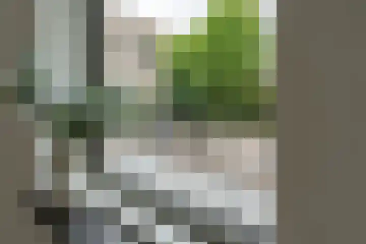 Raadhuisplein 16 Asperen thumbnail 10