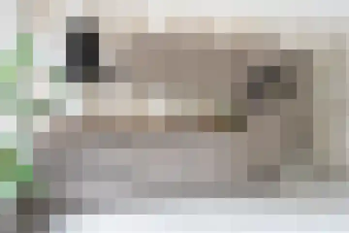 Raadhuisplein 16 Asperen thumbnail 11