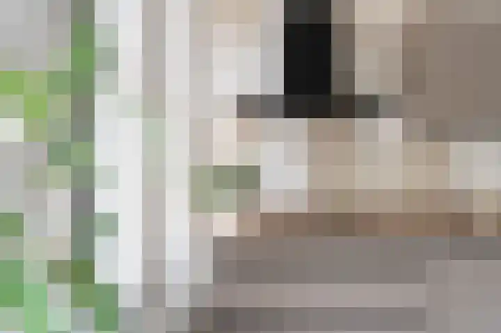 Raadhuisplein 16 Asperen thumbnail 12