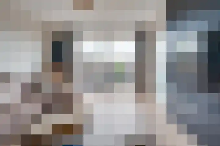 Raadhuisplein 16 Son en Breugel thumbnail 13