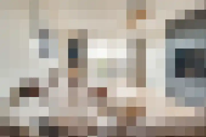 Raadhuisplein 16 Son en Breugel thumbnail 14
