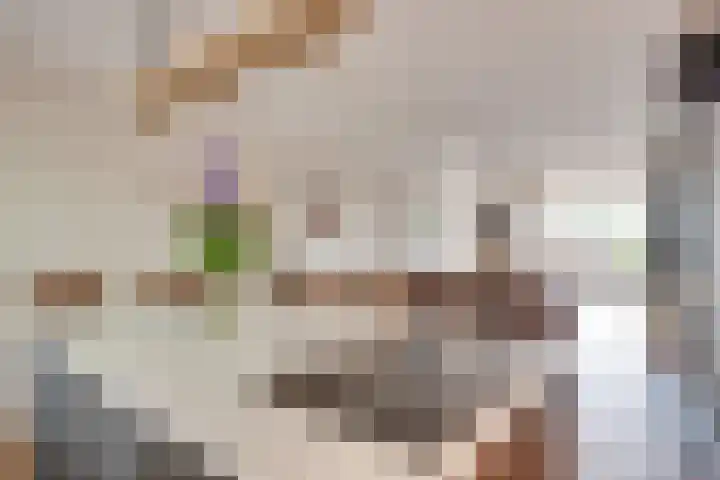 Raadhuisplein 16 Son en Breugel thumbnail 20