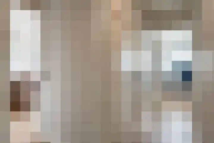 Raadhuisplein 16 Son en Breugel thumbnail 21