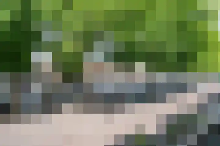 Raadhuisplein 16 Son en Breugel thumbnail 40