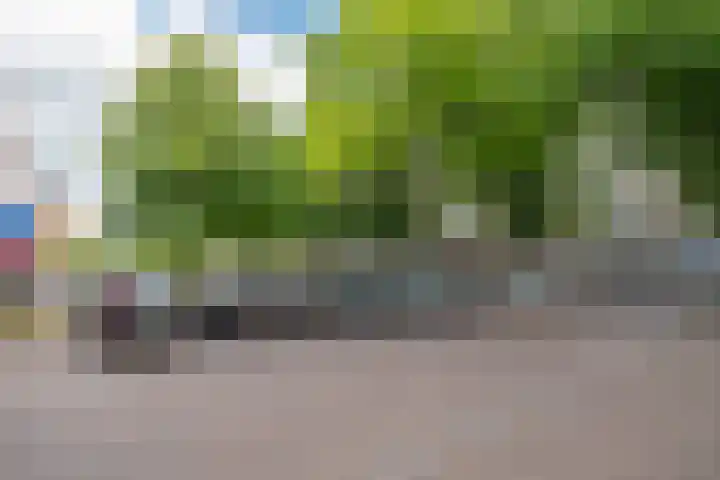 Raadhuisplein 16 Son en Breugel thumbnail 41