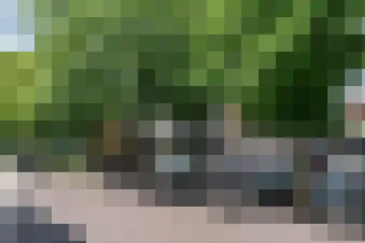 Raadhuisplein 16 Son en Breugel thumbnail 42