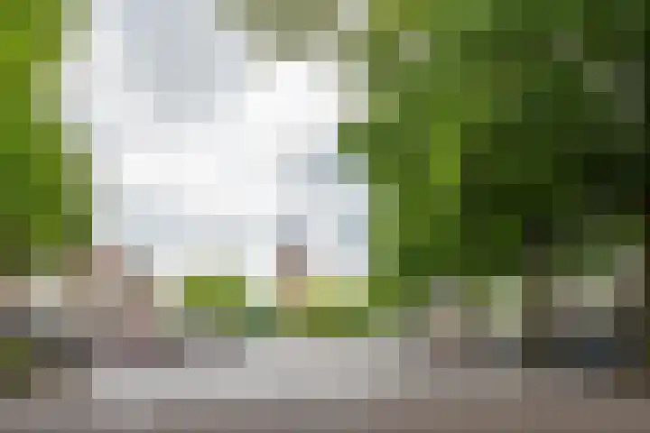 Raadhuisplein 16 Son en Breugel thumbnail 43