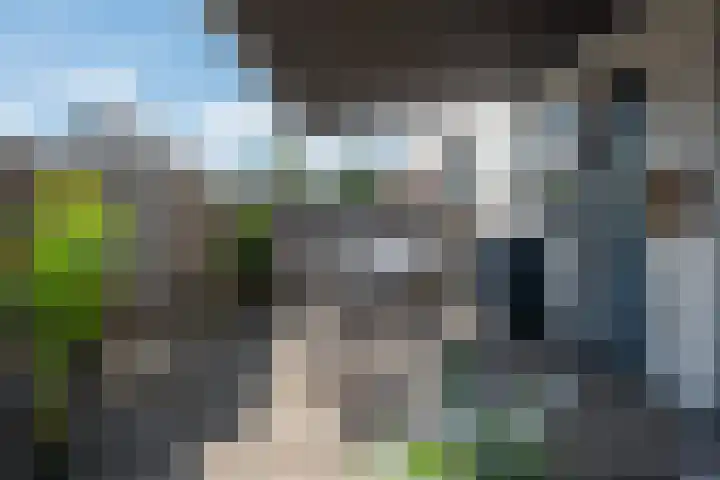 Raadhuisplein 16 Son en Breugel thumbnail 6