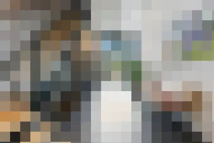 Raadhuisplein 17 Alblasserdam thumbnail 39