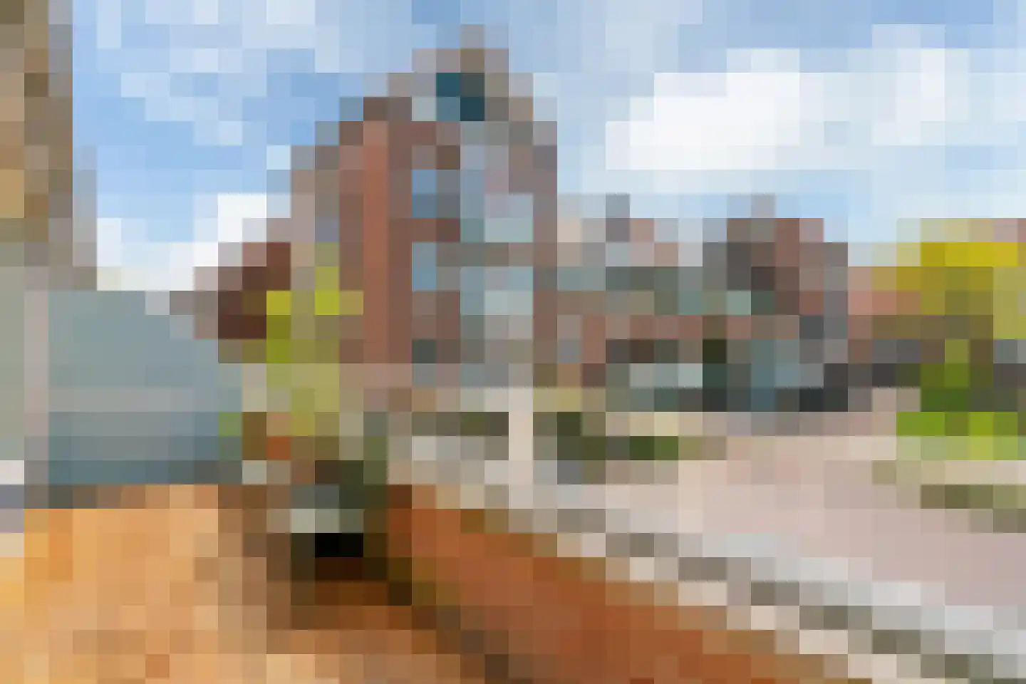 Raadhuisplein 17 Castricum thumbnail 22