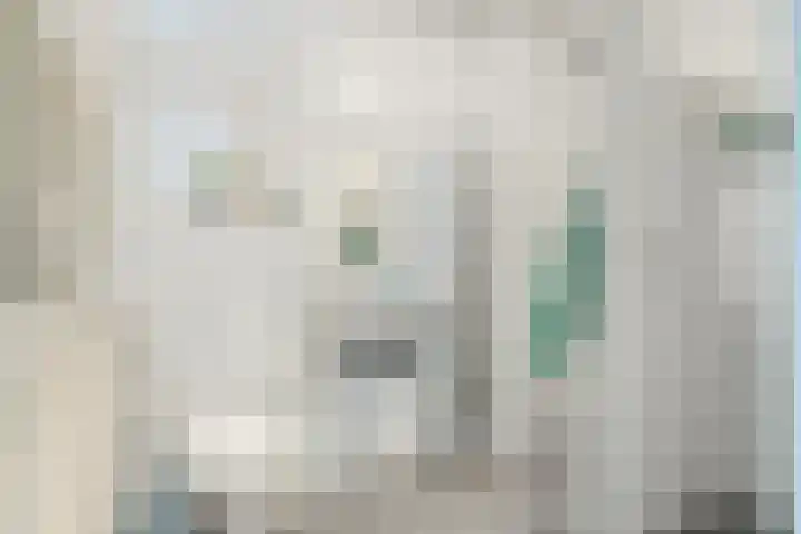 Raadhuisplein 17 Son en Breugel thumbnail 15