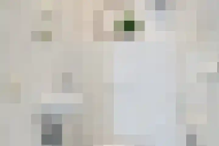 Raadhuisplein 17 Son en Breugel thumbnail 16