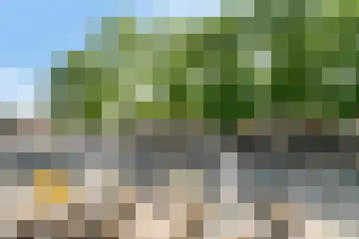 Raadhuisplein 17 Son en Breugel thumbnail 18