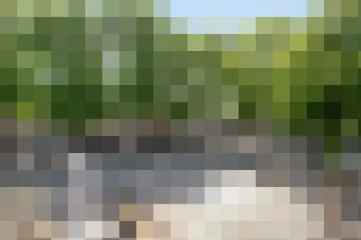 Raadhuisplein 17 Son en Breugel thumbnail 19