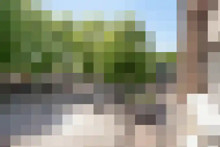 Raadhuisplein 17 Son en Breugel thumbnail 20