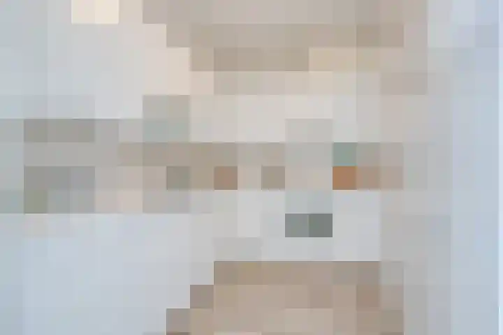 Raadhuisplein 17 Son en Breugel thumbnail 9