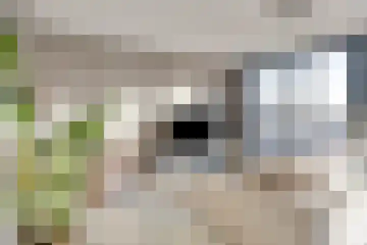 Raadhuisplein 186 Hoofddorp thumbnail 11