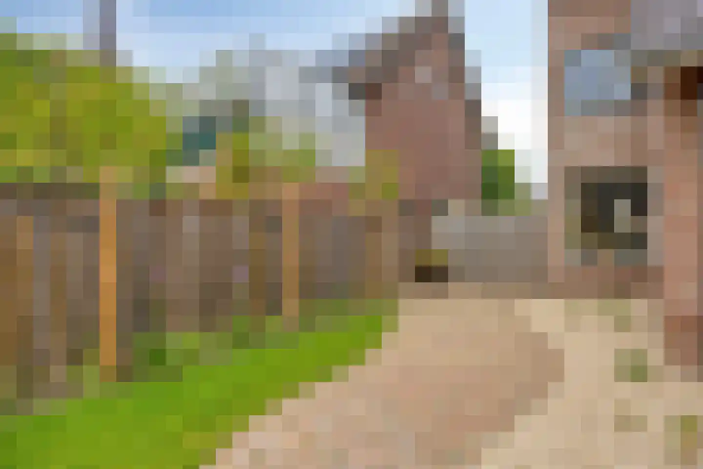 Raadhuisplein 19 a Heeswijk-Dinther thumbnail 49