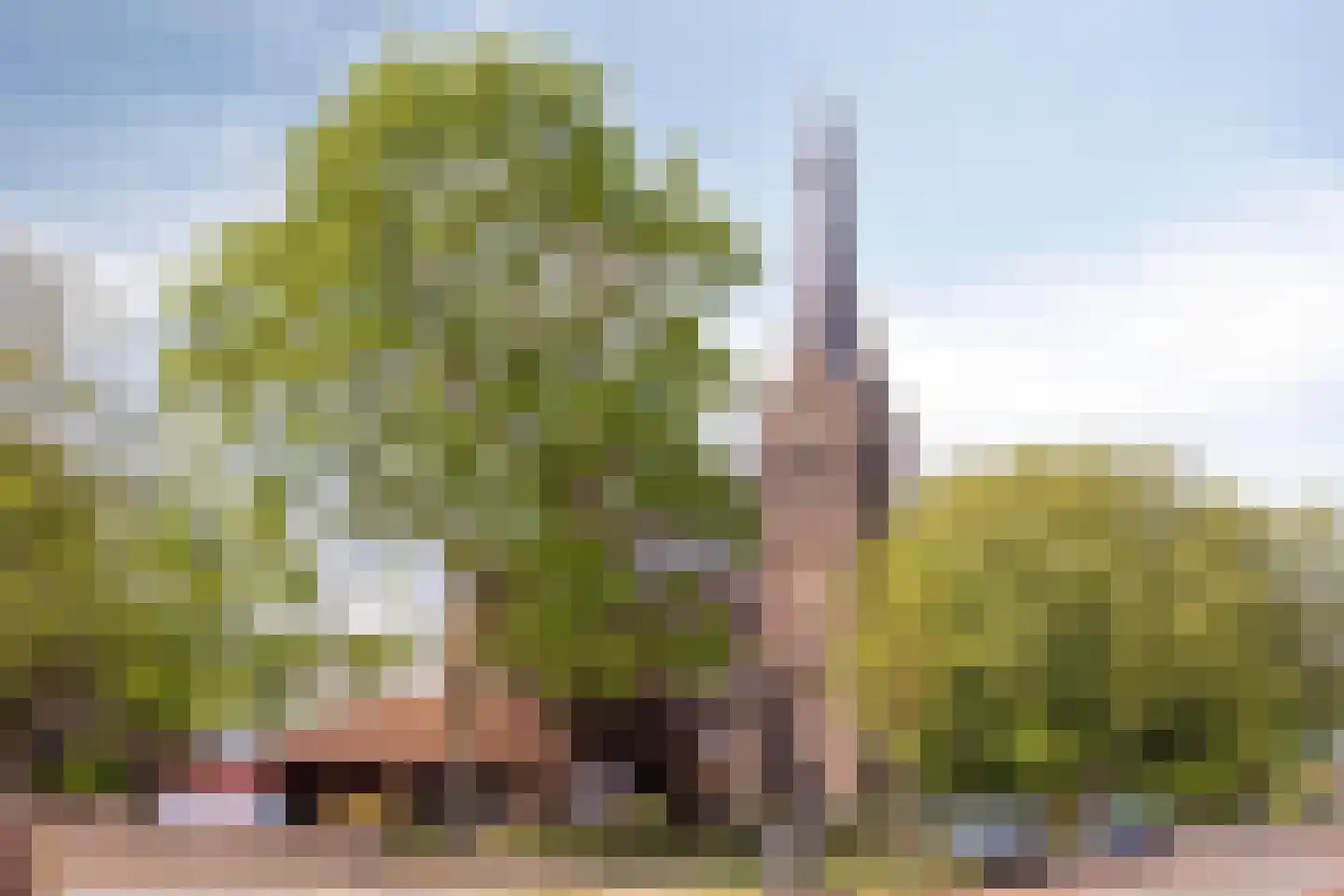 Raadhuisplein 19 a Heeswijk-Dinther thumbnail 63