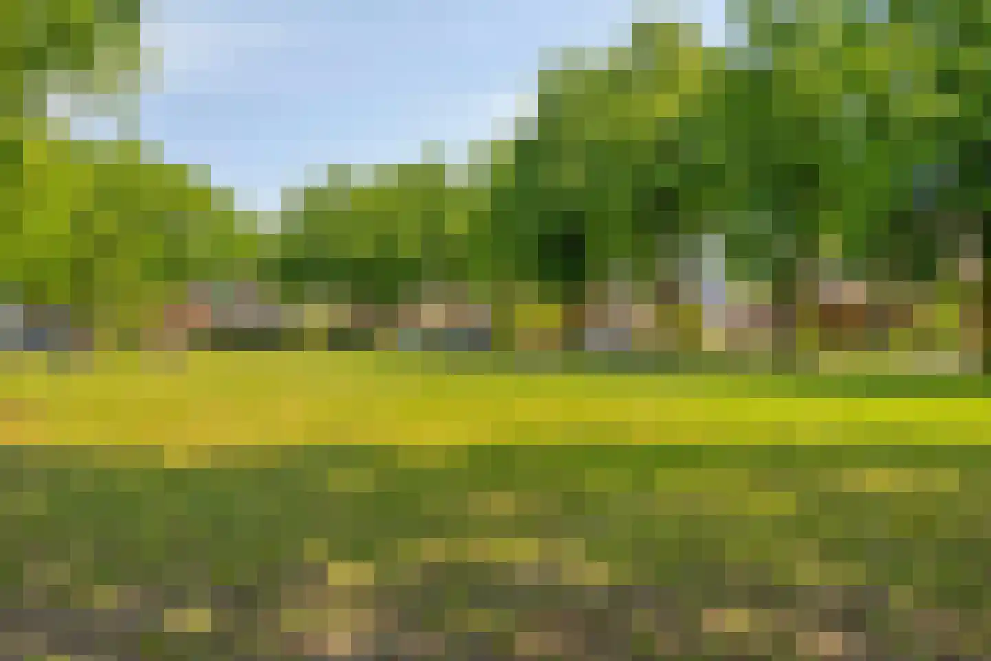 Raadhuisplein 19 a Heeswijk-Dinther thumbnail 64