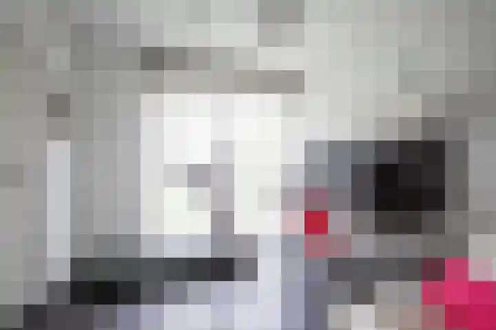 Raadhuisplein 2 A Voerendaal thumbnail 21