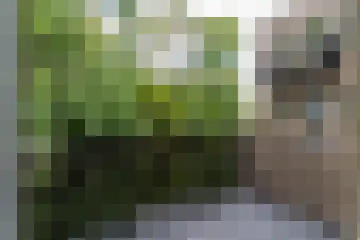 Raadhuisplein 2 Asperen thumbnail 13