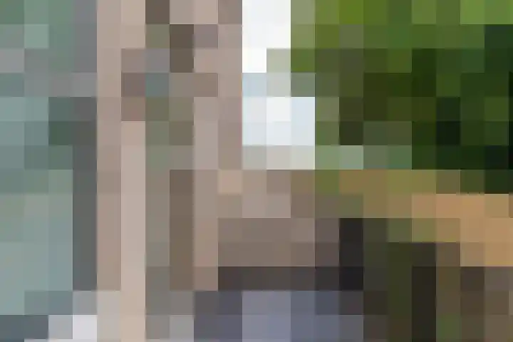 Raadhuisplein 2 Asperen thumbnail 14