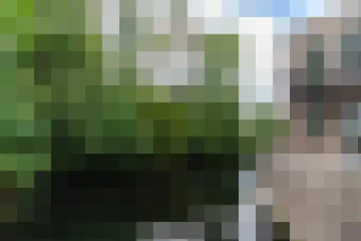 Raadhuisplein 2 Asperen thumbnail 15