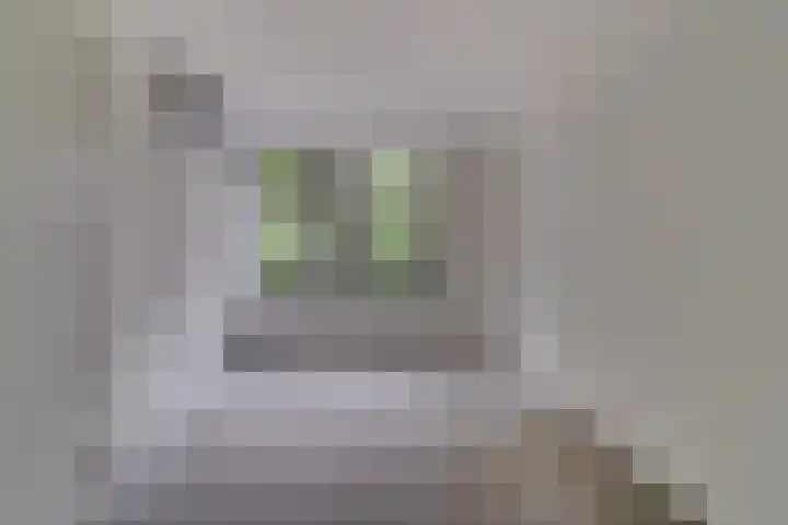 Raadhuisplein 2 Asperen thumbnail 17