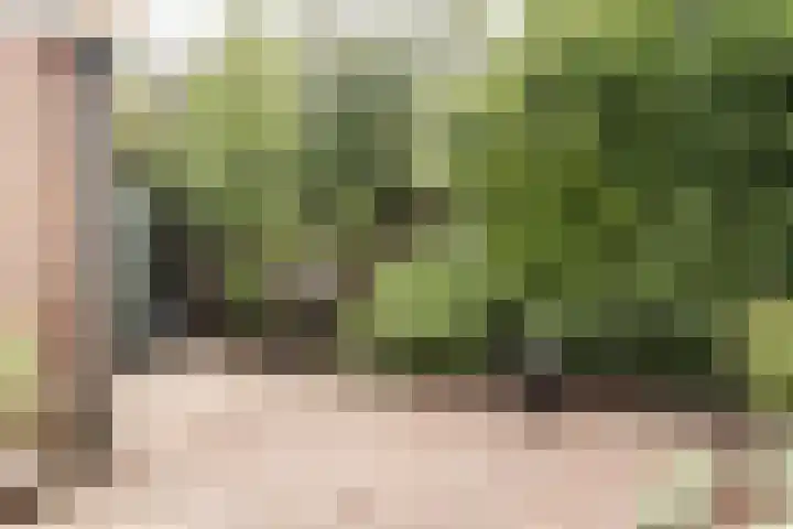 Raadhuisplein 2 Heemstede thumbnail 11