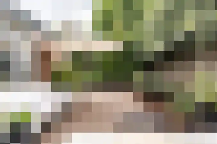 Raadhuisplein 2 Heemstede thumbnail 13