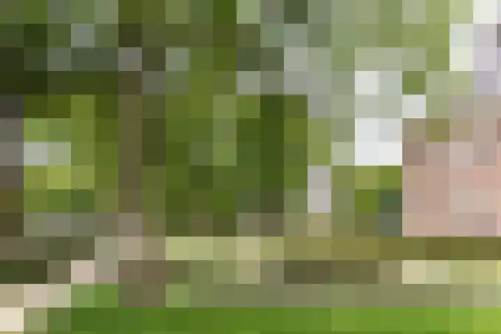 Raadhuisplein 2 Heemstede thumbnail 17