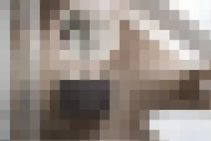 Raadhuisplein 2 Heemstede thumbnail 37