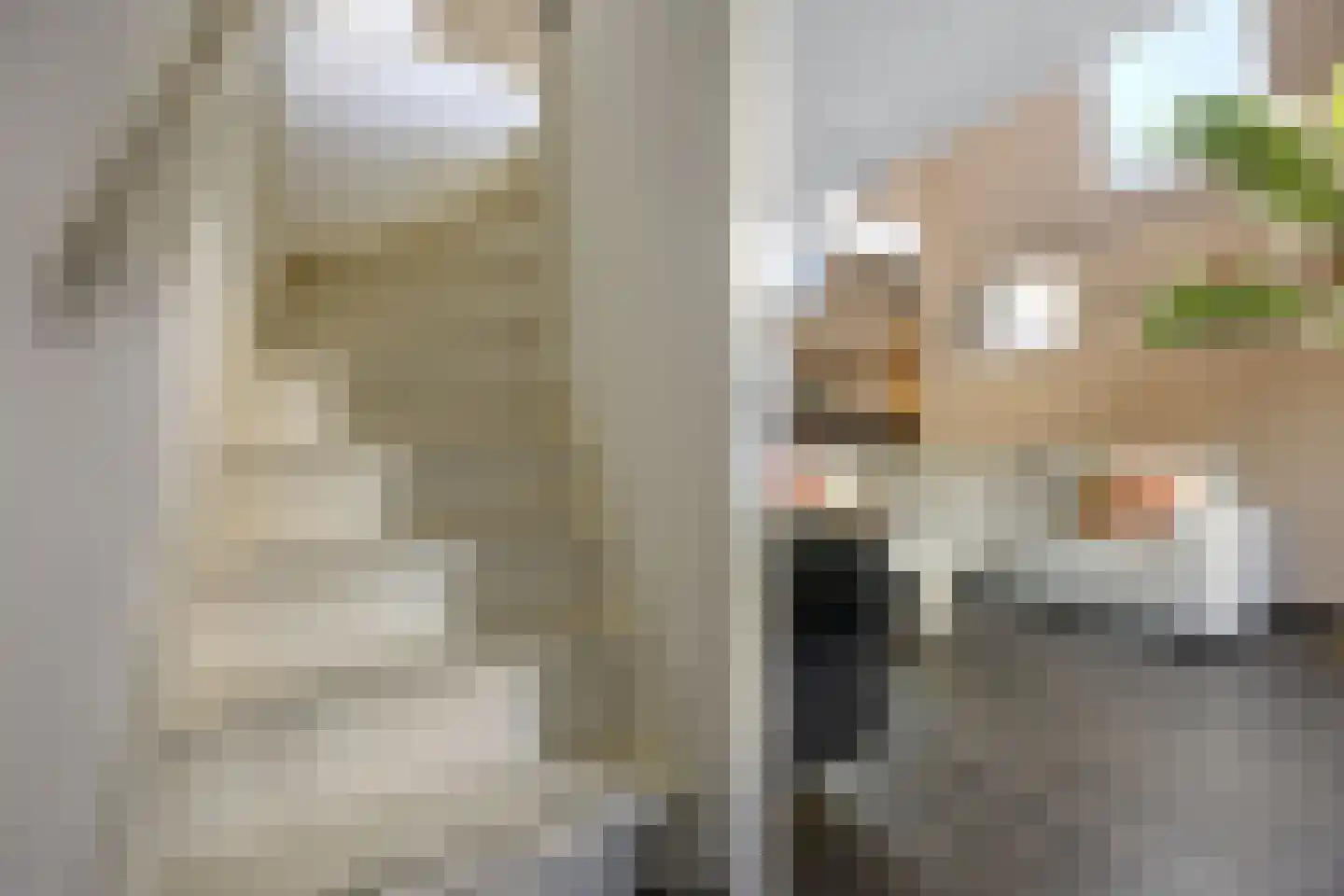 Raadhuisplein 21 A Barneveld thumbnail 18