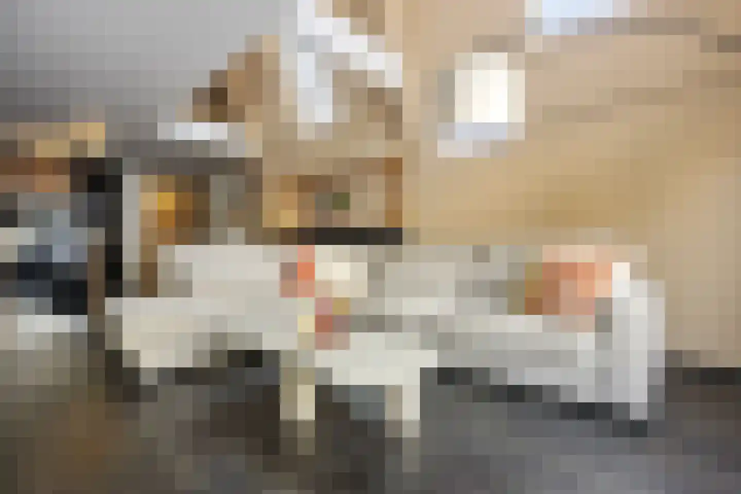 Raadhuisplein 21 A Barneveld thumbnail 8