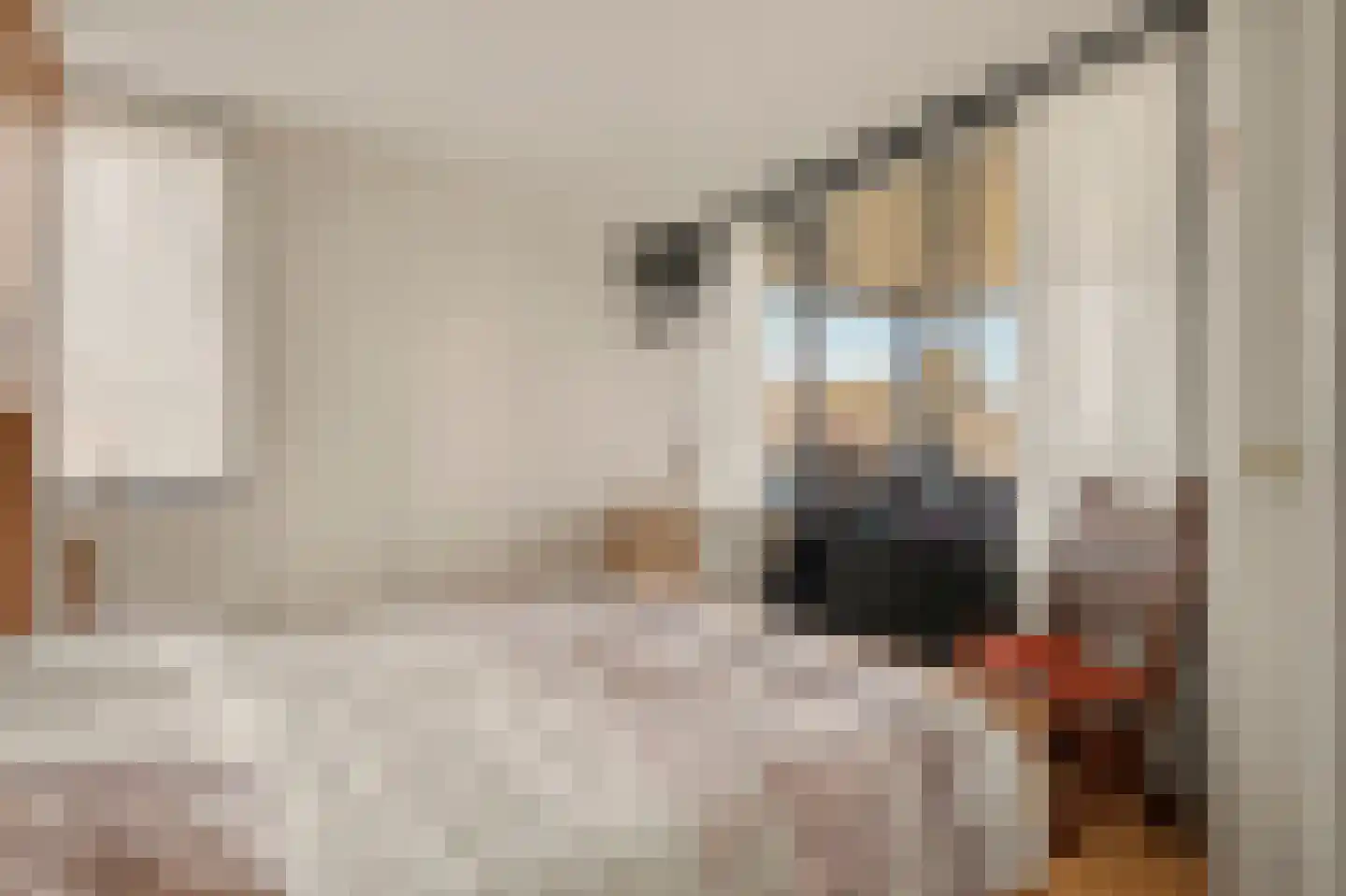 Raadhuisplein 21 Made thumbnail 18