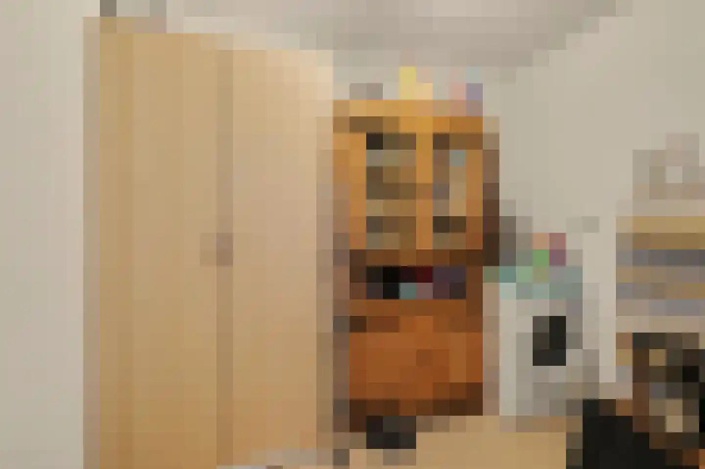 Raadhuisplein 21 Made thumbnail 31