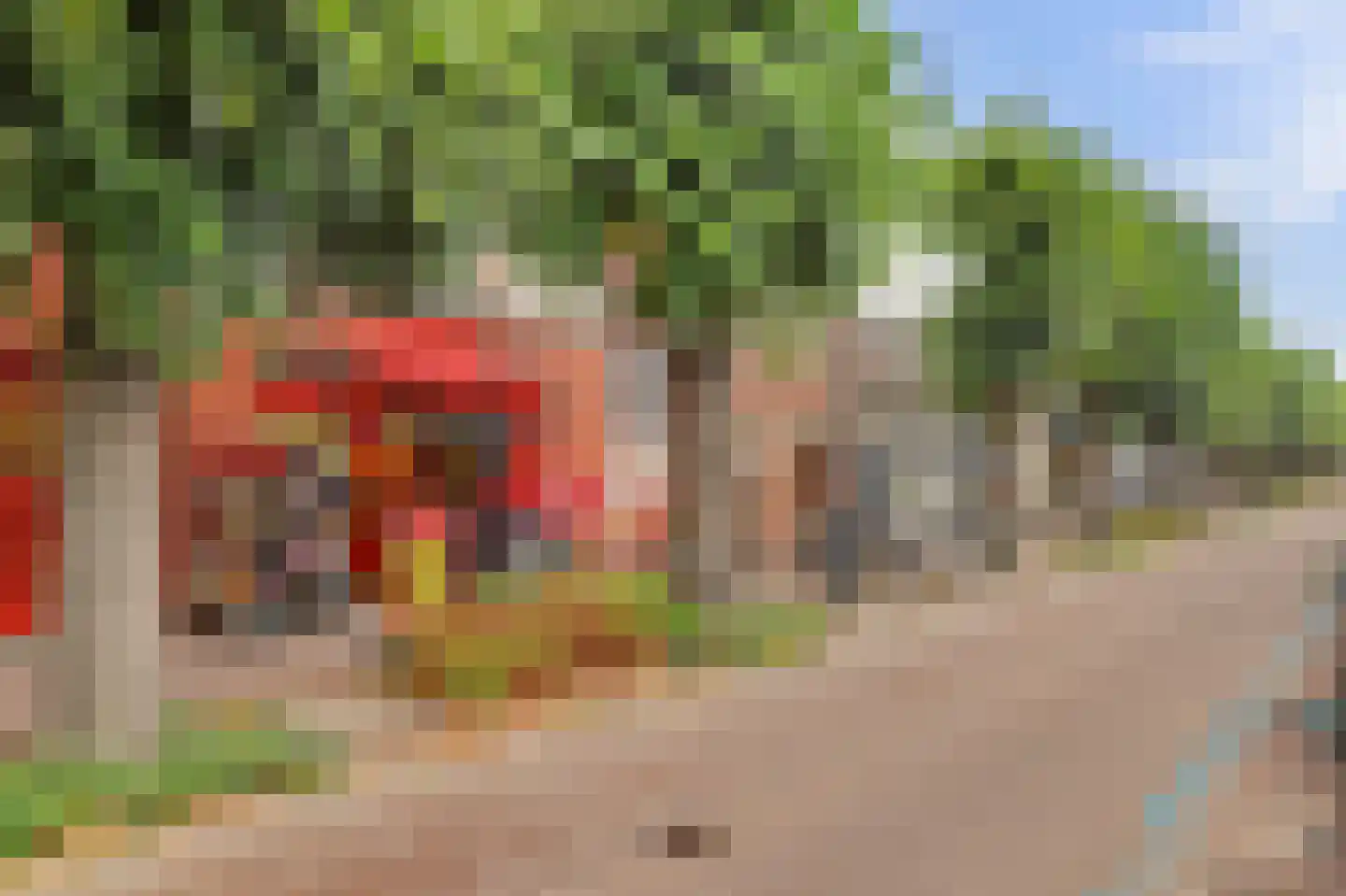 Raadhuisplein 21 Made thumbnail 55