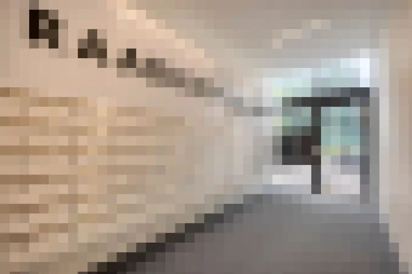 Raadhuisplein 216 Hoofddorp thumbnail 5