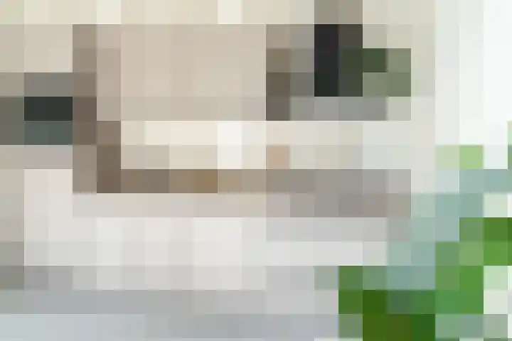 Raadhuisplein 22 Asperen thumbnail 6