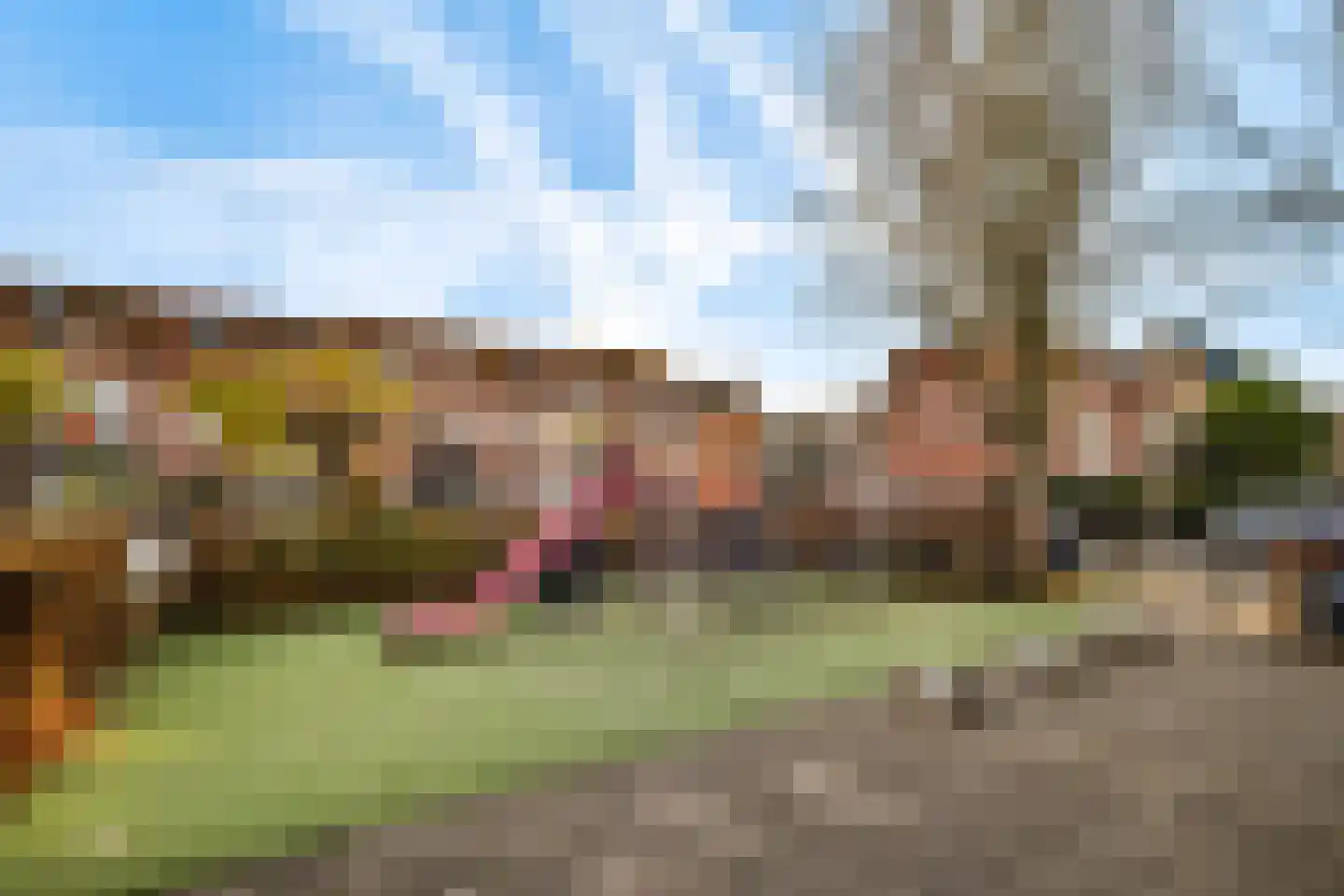 Raadhuisplein 24 Haarlem thumbnail 33