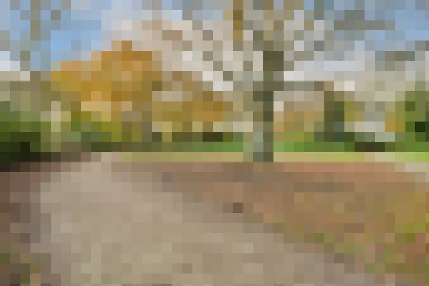 Raadhuisplein 24 Haarlem thumbnail 36