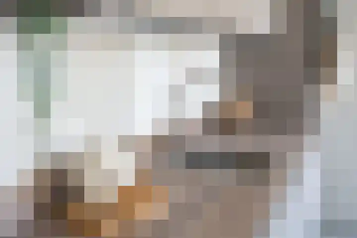 Raadhuisplein 26 Asperen thumbnail 6