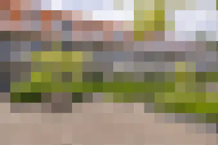 Raadhuisplein 26 Woudrichem thumbnail 26