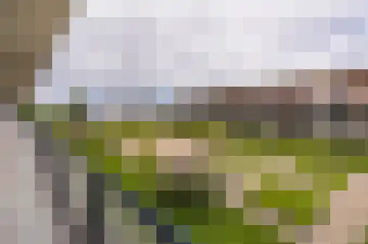 Raadhuisplein 26 Woudrichem thumbnail 4