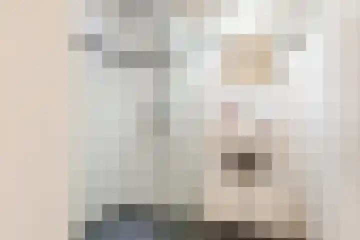 Raadhuisplein 27 Rijen thumbnail 25