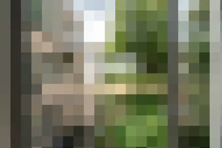 Raadhuisplein 28 Asperen thumbnail 14